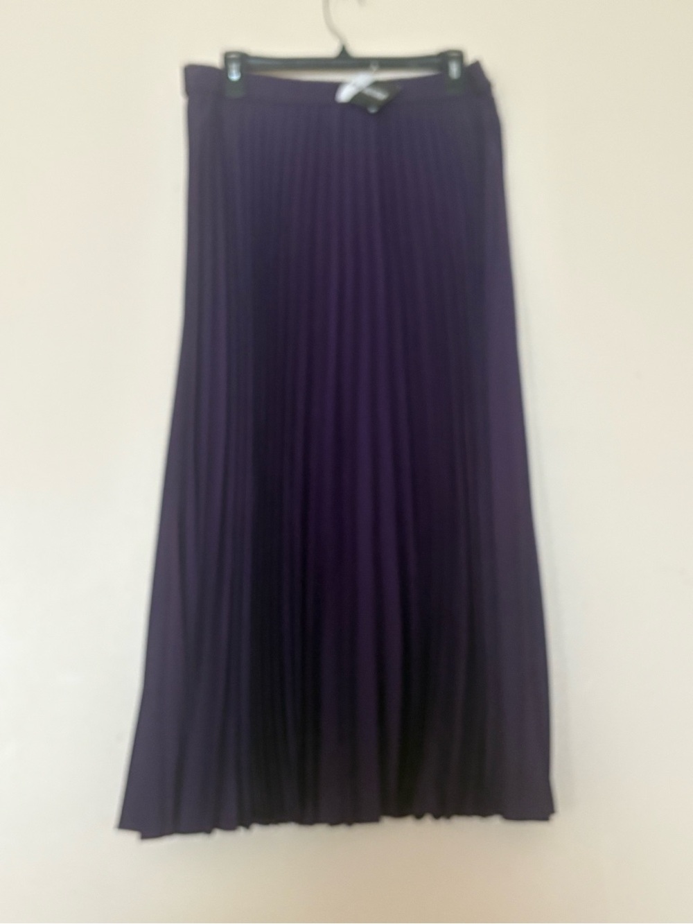 Together Plum Pleated Maxi Skirt